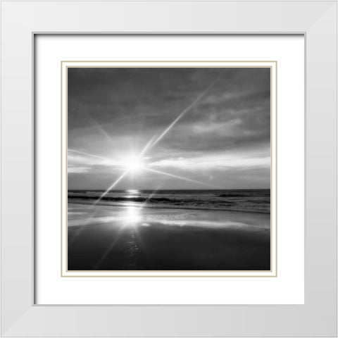 Beauteous Light III White Modern Wood Framed Art Print with Double Matting by Hausenflock, Alan