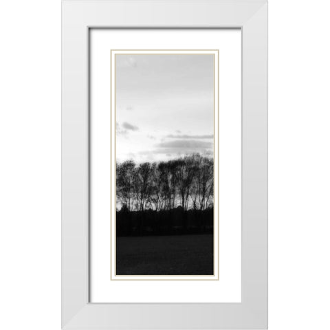 Winter Sunset BW IV White Modern Wood Framed Art Print with Double Matting by Hausenflock, Alan