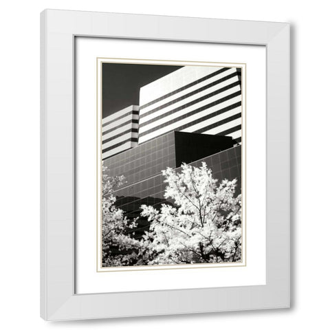 Geometric IV White Modern Wood Framed Art Print with Double Matting by Hausenflock, Alan