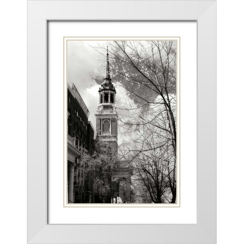 Renewal II White Modern Wood Framed Art Print with Double Matting by Hausenflock, Alan