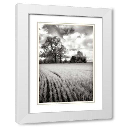 Stormy Skies II White Modern Wood Framed Art Print with Double Matting by Hausenflock, Alan