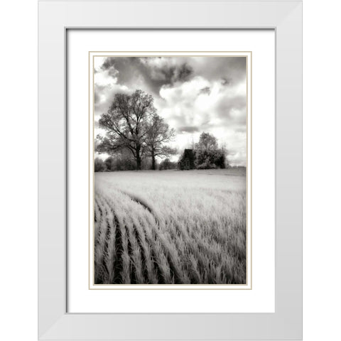 Stormy Skies II White Modern Wood Framed Art Print with Double Matting by Hausenflock, Alan