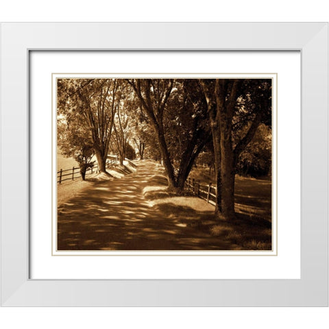 Ash Lawn II White Modern Wood Framed Art Print with Double Matting by Hausenflock, Alan