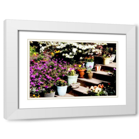 Sidewalk Spring II White Modern Wood Framed Art Print with Double Matting by Hausenflock, Alan