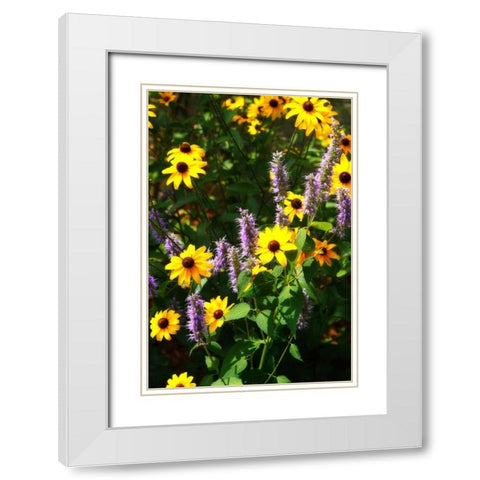 Summer Glory I White Modern Wood Framed Art Print with Double Matting by Hausenflock, Alan