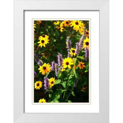 Summer Glory I White Modern Wood Framed Art Print with Double Matting by Hausenflock, Alan