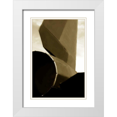 Blackbird I White Modern Wood Framed Art Print with Double Matting by Hausenflock, Alan