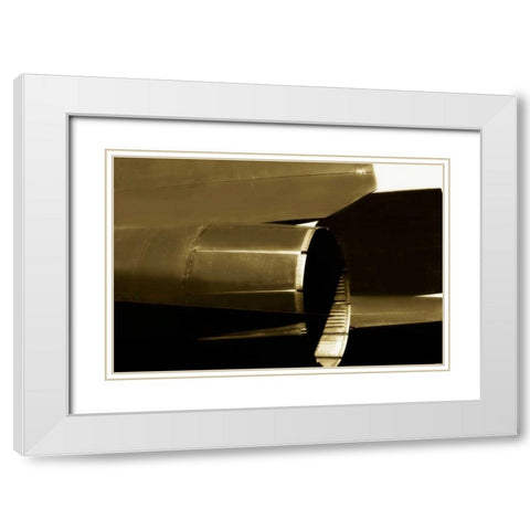 Blackbird II White Modern Wood Framed Art Print with Double Matting by Hausenflock, Alan