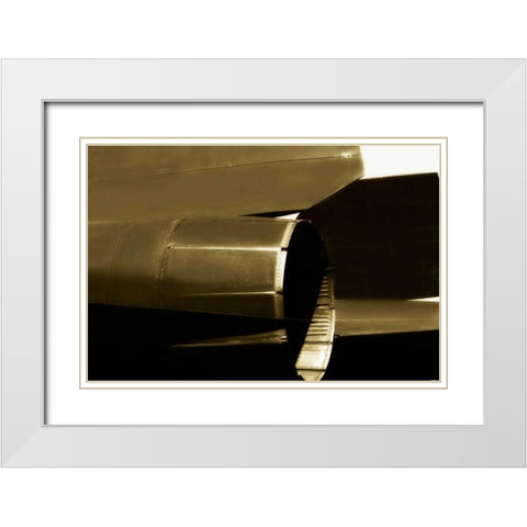 Blackbird II White Modern Wood Framed Art Print with Double Matting by Hausenflock, Alan