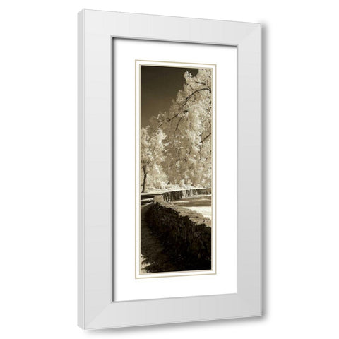 Seminary Wall Panel White Modern Wood Framed Art Print with Double Matting by Hausenflock, Alan