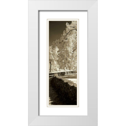 Seminary Wall Panel White Modern Wood Framed Art Print with Double Matting by Hausenflock, Alan