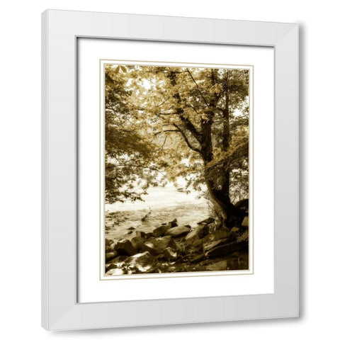 By the River Wide I White Modern Wood Framed Art Print with Double Matting by Hausenflock, Alan