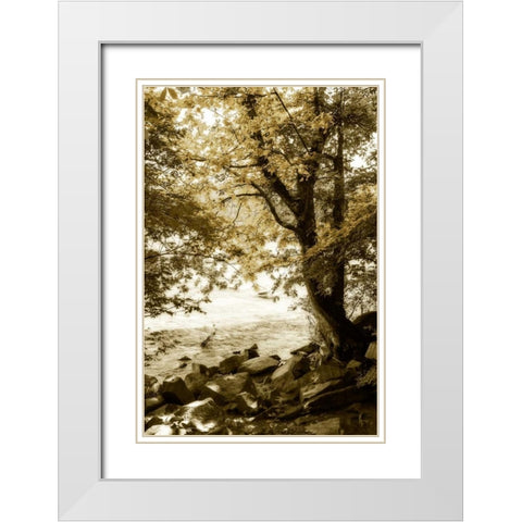 By the River Wide I White Modern Wood Framed Art Print with Double Matting by Hausenflock, Alan