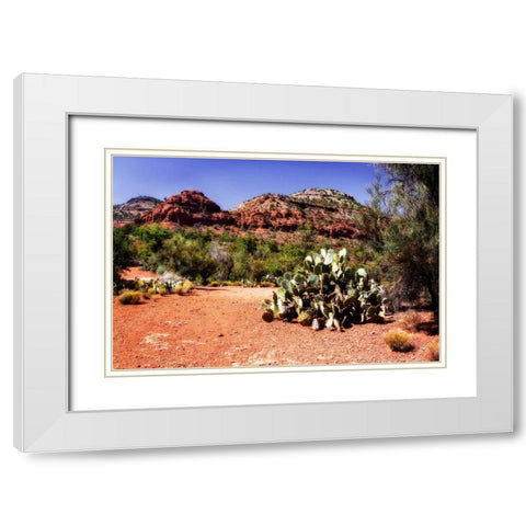 High Desert I White Modern Wood Framed Art Print with Double Matting by Hausenflock, Alan