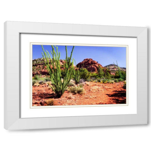 High Desert II White Modern Wood Framed Art Print with Double Matting by Hausenflock, Alan