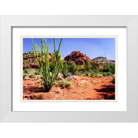 High Desert II White Modern Wood Framed Art Print with Double Matting by Hausenflock, Alan