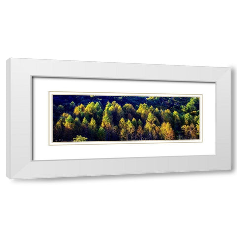 Autumn Ridge II White Modern Wood Framed Art Print with Double Matting by Hausenflock, Alan