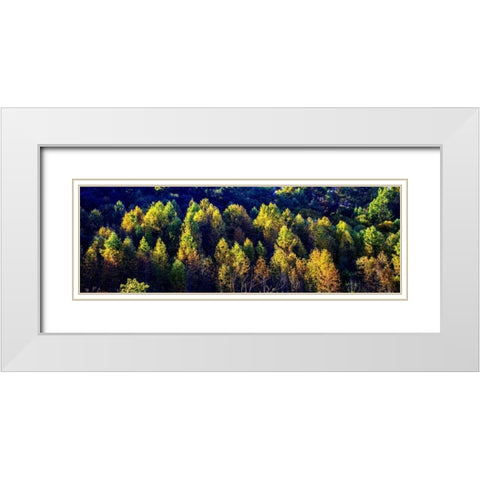Autumn Ridge II White Modern Wood Framed Art Print with Double Matting by Hausenflock, Alan