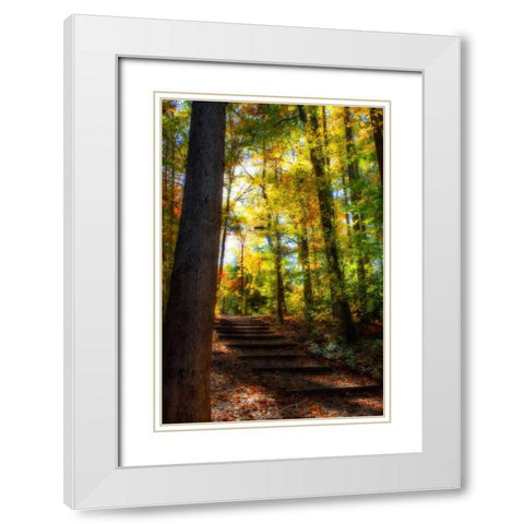 Autumn Light II White Modern Wood Framed Art Print with Double Matting by Hausenflock, Alan