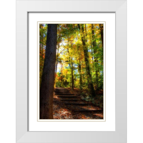 Autumn Light II White Modern Wood Framed Art Print with Double Matting by Hausenflock, Alan