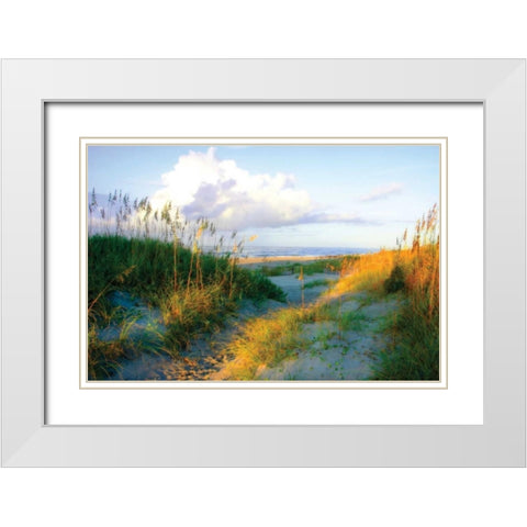 Dunes I White Modern Wood Framed Art Print with Double Matting by Hausenflock, Alan