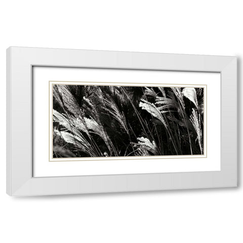 Wind Dancers I White Modern Wood Framed Art Print with Double Matting by Hausenflock, Alan