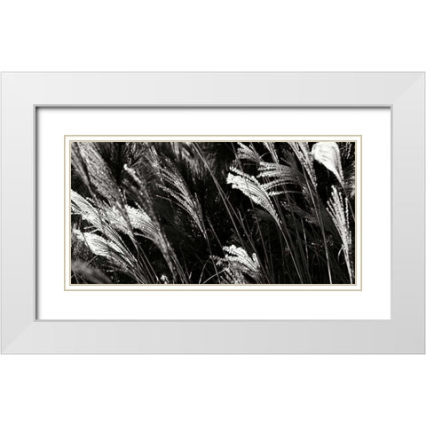 Wind Dancers I White Modern Wood Framed Art Print with Double Matting by Hausenflock, Alan