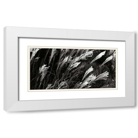 Wind Dancers II White Modern Wood Framed Art Print with Double Matting by Hausenflock, Alan