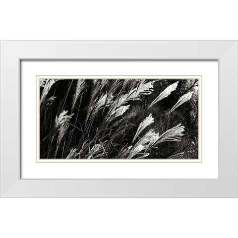 Wind Dancers II White Modern Wood Framed Art Print with Double Matting by Hausenflock, Alan