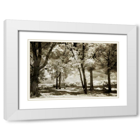 Cobb Island Channel I White Modern Wood Framed Art Print with Double Matting by Hausenflock, Alan