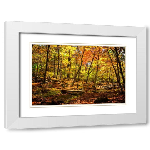 Picnic Perfect I White Modern Wood Framed Art Print with Double Matting by Hausenflock, Alan