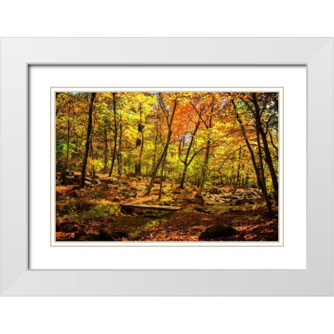 Picnic Perfect I White Modern Wood Framed Art Print with Double Matting by Hausenflock, Alan