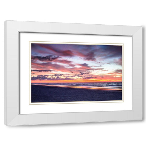 Gulls on the Shore I White Modern Wood Framed Art Print with Double Matting by Hausenflock, Alan