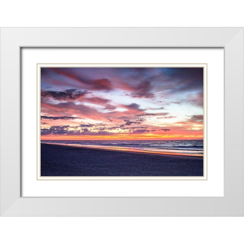 Gulls on the Shore I White Modern Wood Framed Art Print with Double Matting by Hausenflock, Alan