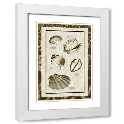 Sand and Shells II White Modern Wood Framed Art Print with Double Matting by Hausenflock, Alan