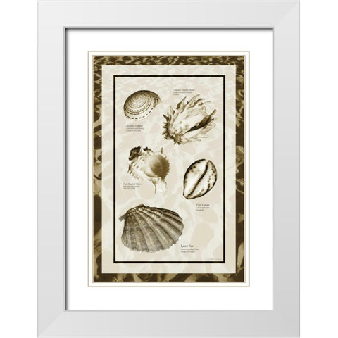 Sand and Shells II White Modern Wood Framed Art Print with Double Matting by Hausenflock, Alan
