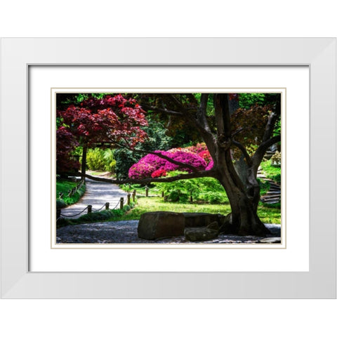 Japanese Garden III White Modern Wood Framed Art Print with Double Matting by Hausenflock, Alan