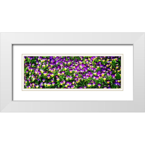 Spring Flowers I White Modern Wood Framed Art Print with Double Matting by Hausenflock, Alan