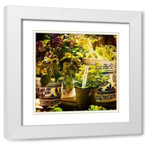New April Garden II White Modern Wood Framed Art Print with Double Matting by Hausenflock, Alan