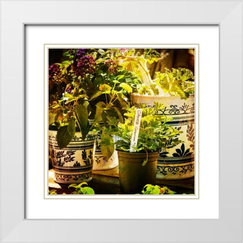 New April Garden II White Modern Wood Framed Art Print with Double Matting by Hausenflock, Alan