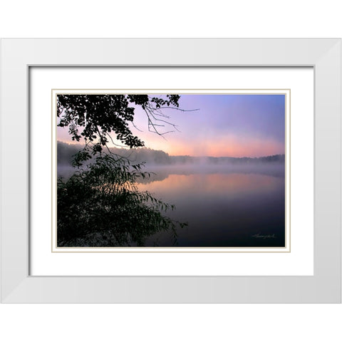 Shelley Lake Fog White Modern Wood Framed Art Print with Double Matting by Hausenflock, Alan