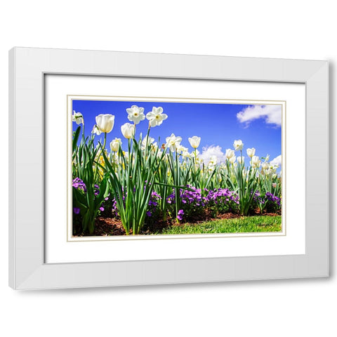 Flower Border I White Modern Wood Framed Art Print with Double Matting by Hausenflock, Alan