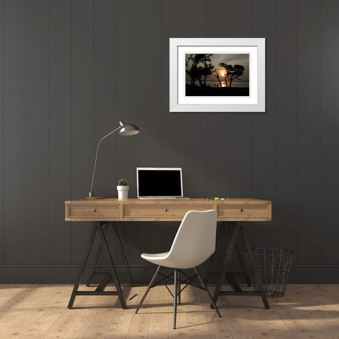 Beaufort I White Modern Wood Framed Art Print with Double Matting by Hausenflock, Alan
