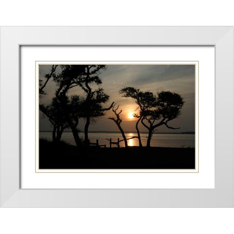 Beaufort I White Modern Wood Framed Art Print with Double Matting by Hausenflock, Alan