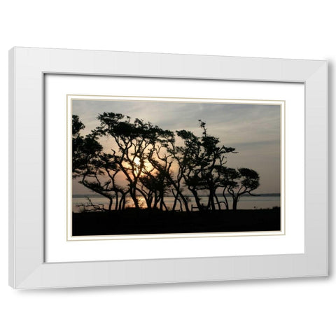 Beaufort II White Modern Wood Framed Art Print with Double Matting by Hausenflock, Alan