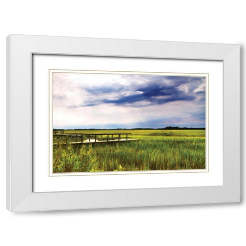 Marshland Storm I White Modern Wood Framed Art Print with Double Matting by Hausenflock, Alan