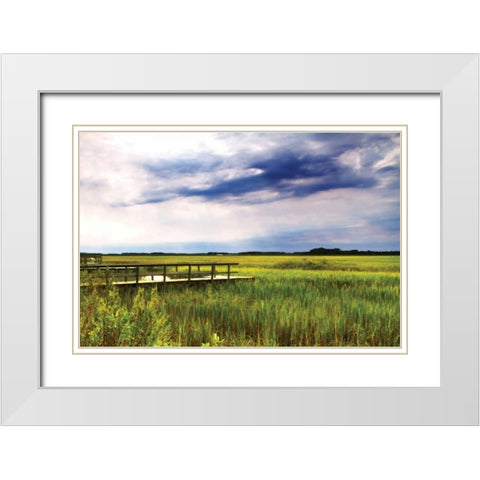 Marshland Storm I White Modern Wood Framed Art Print with Double Matting by Hausenflock, Alan