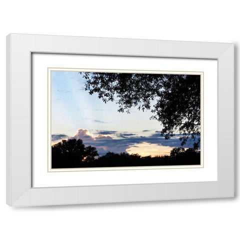 Sunset Through the Trees I White Modern Wood Framed Art Print with Double Matting by Hausenflock, Alan