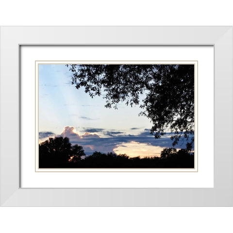 Sunset Through the Trees I White Modern Wood Framed Art Print with Double Matting by Hausenflock, Alan
