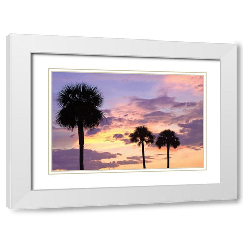 San Marcos Sunset IV White Modern Wood Framed Art Print with Double Matting by Hausenflock, Alan